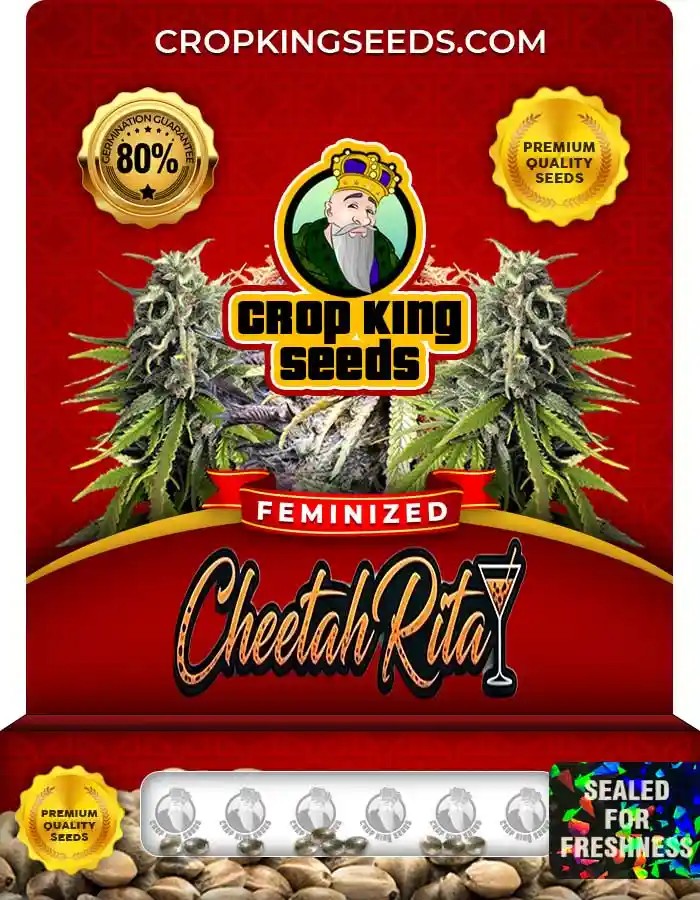 Cheetah Rita Strain Feminized Seeds