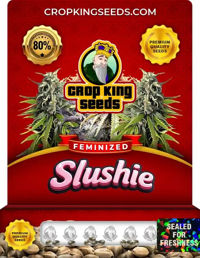 Slushie Strain Feminized Marijuana Seeds