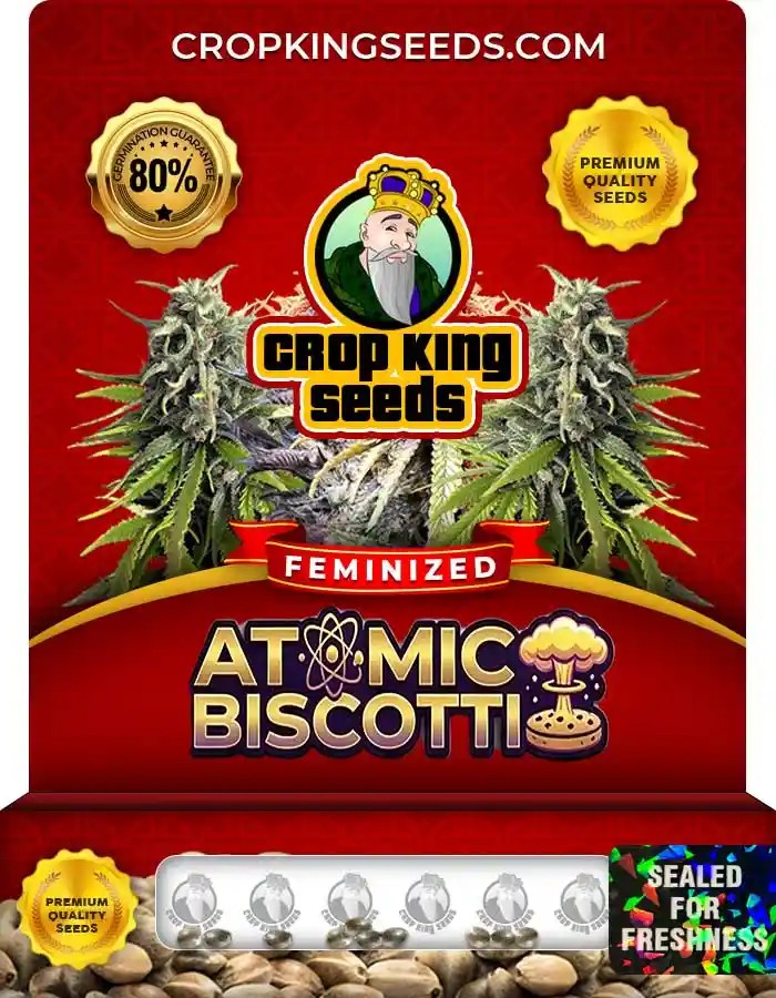 Atomic Biscotti Strain Feminized Seeds