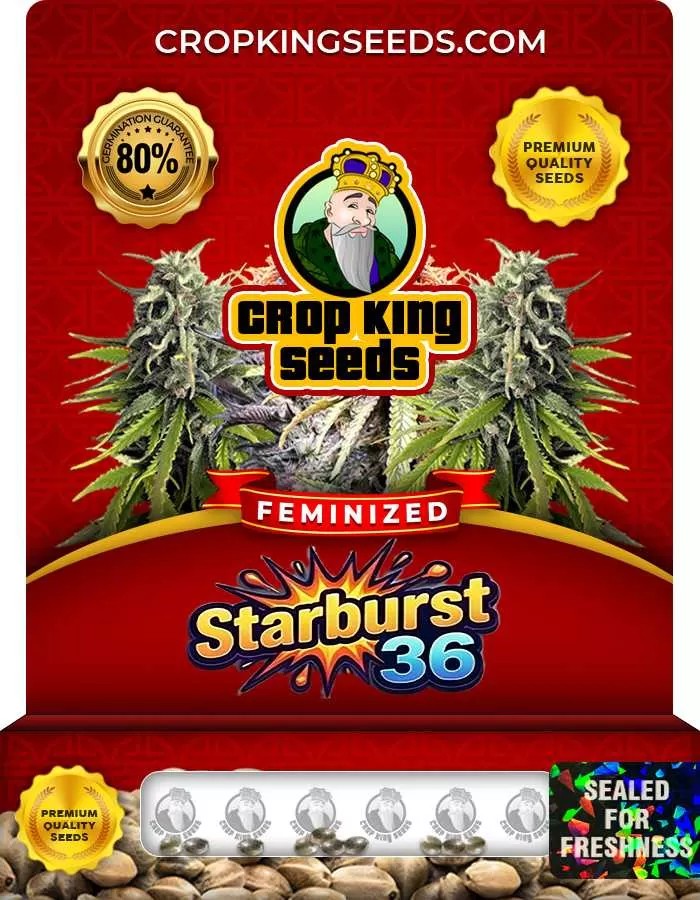 Starburst 36 Feminized Seeds