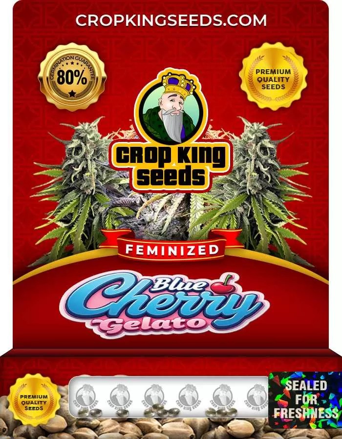 Blue Cherry Gelato Feminized Seeds