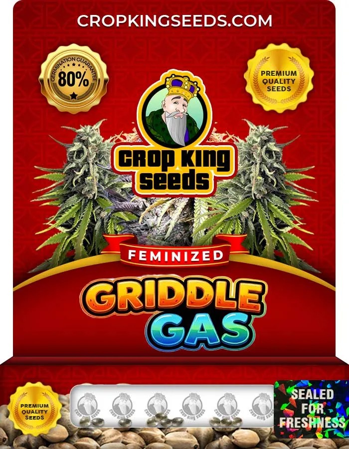 Griddle Gas Strain Feminized Seeds