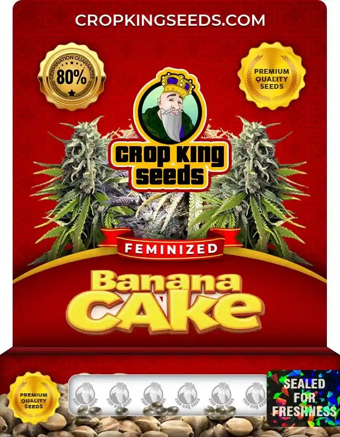 Banana Cake Strain Feminized Marijuana Seeds