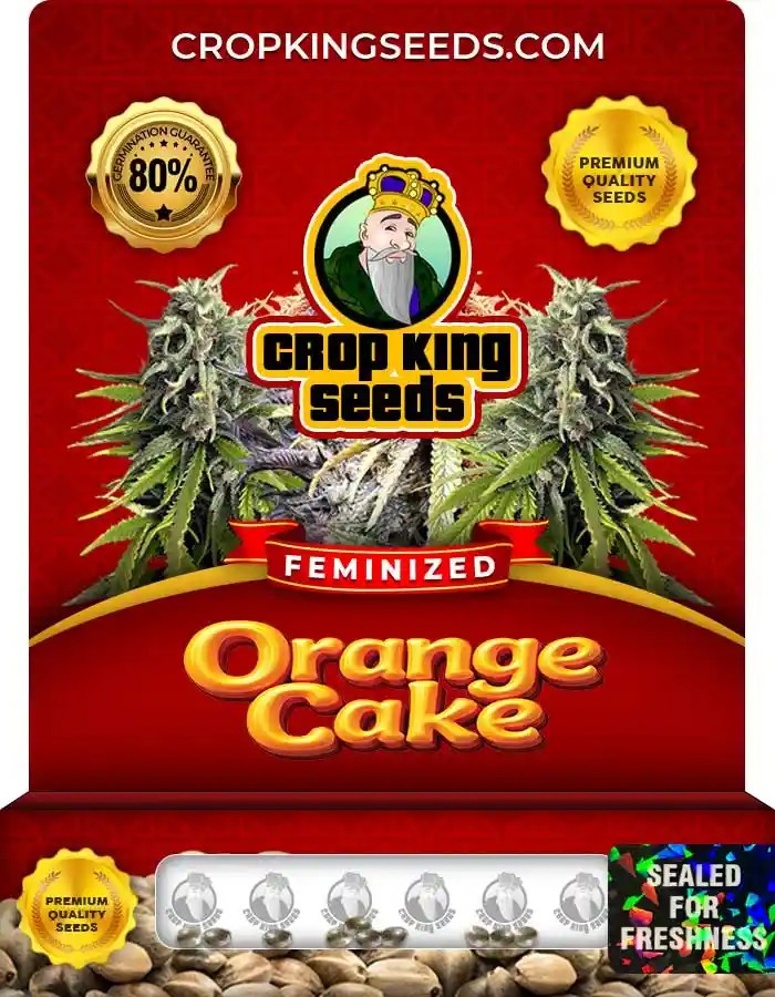 Orange Cake Strain Feminized Marijuana Seeds