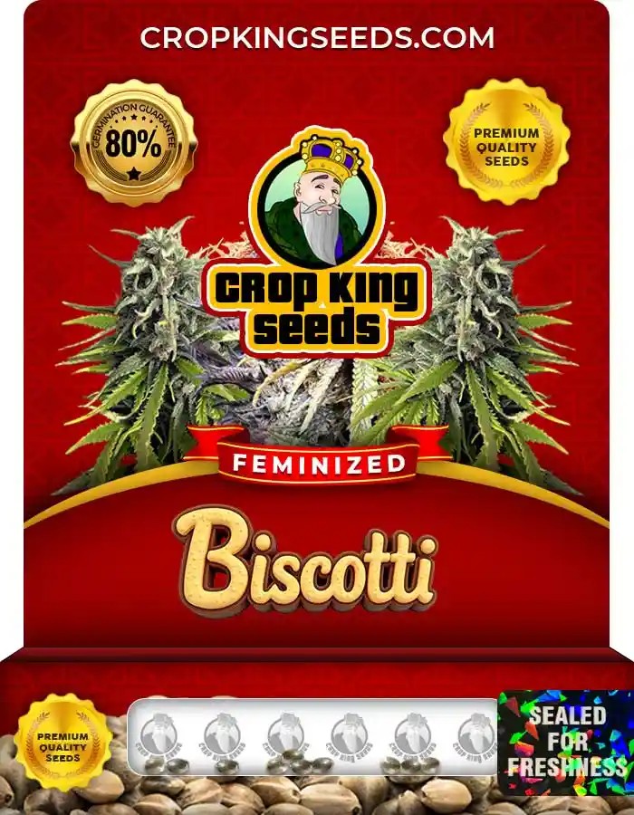 Biscotti Strain Feminized Marijuana Seeds