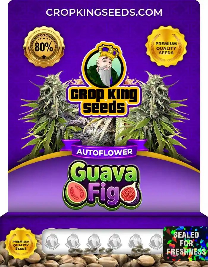 Guava Fig Autoflower Seeds