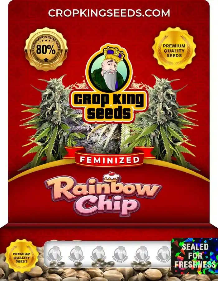 Rainbow Chip Strain Feminized Marijuana Seeds