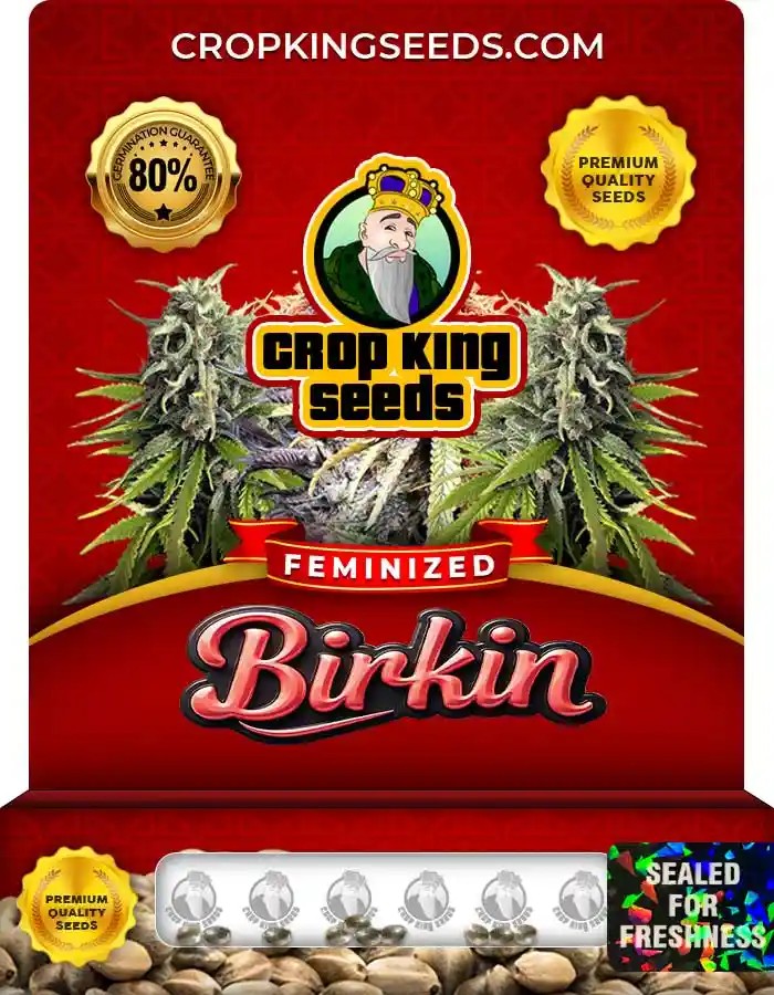 Birkin Strain Feminized Marijuana Seeds