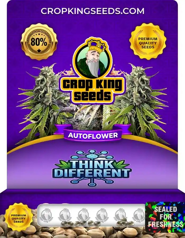 Think Different Autoflower Seeds