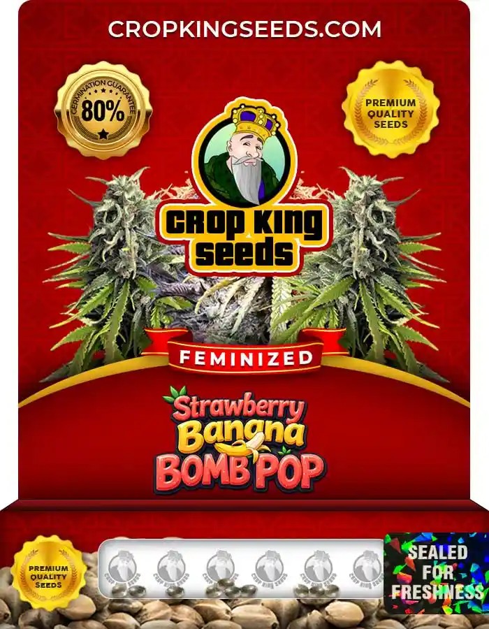 Strawberry Banana Bomb Pop Strain Feminized Seeds