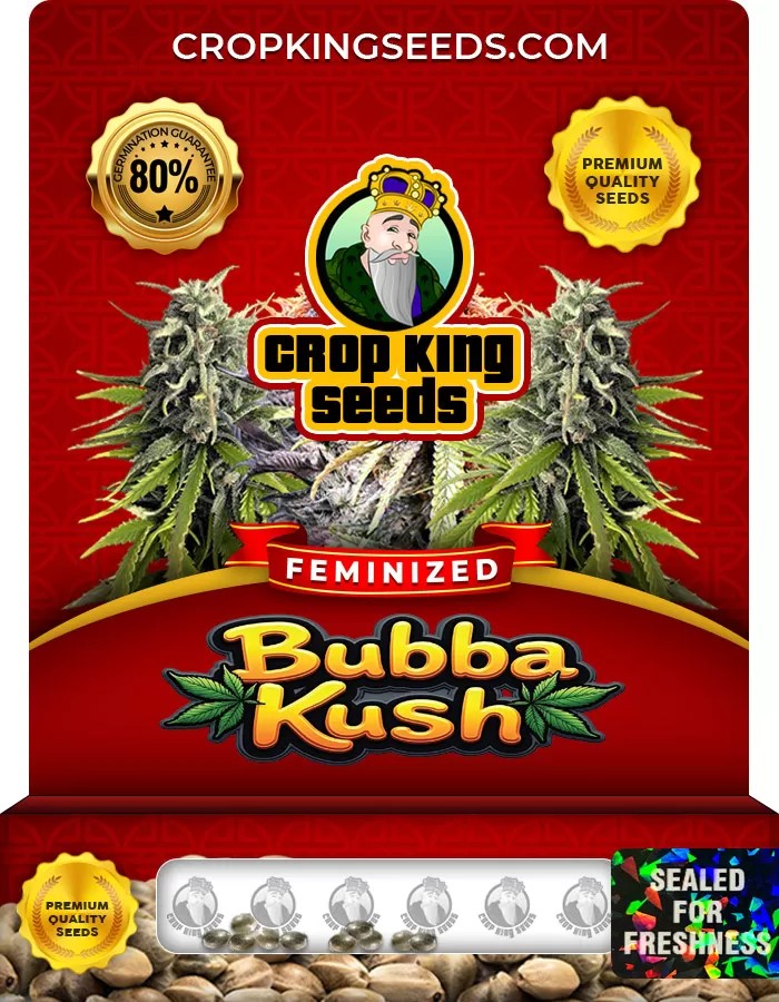 Bubba Kush Feminized Marijuana Seeds