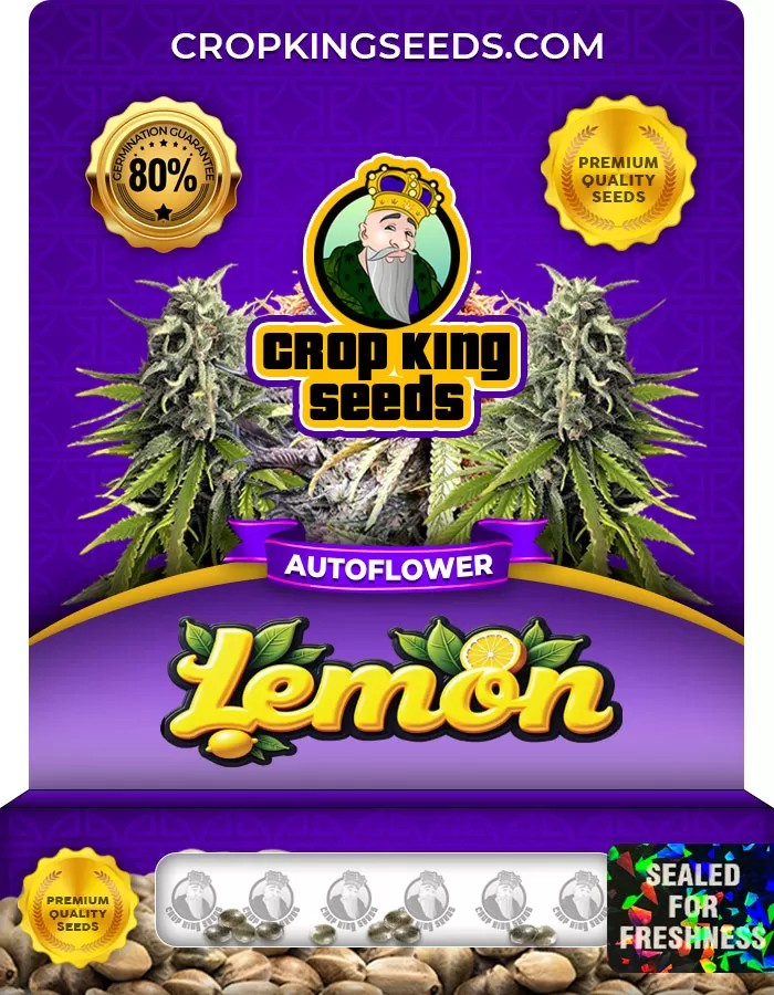Lemon Autoflower Marijuana Seeds