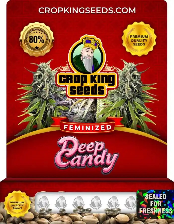Deep Candy Strain Feminized Seeds