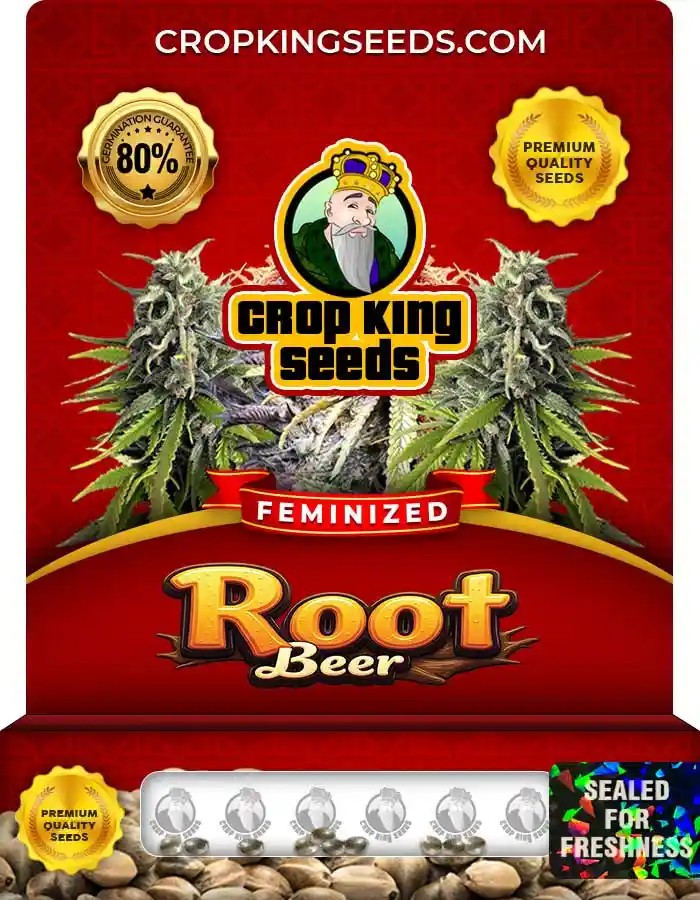 Root Beer Strain Feminized Marijuana Seeds