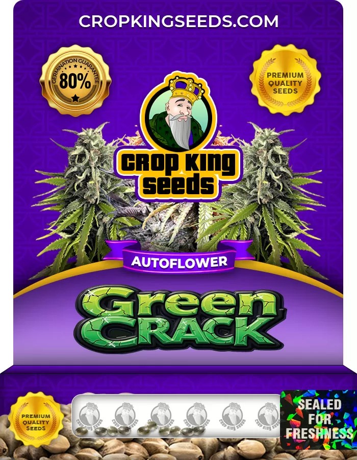 Green Crack Autoflower Marijuana Seeds