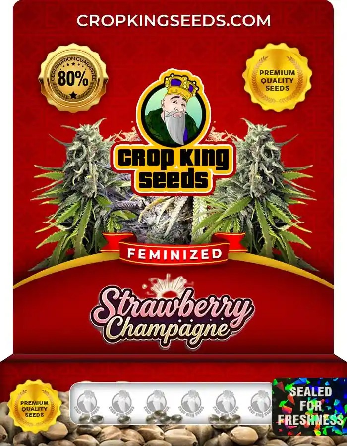 Strawberry Champagne Feminized Seeds