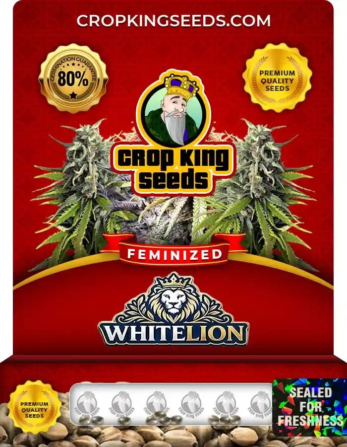 Whitelion Strain Feminized Seeds