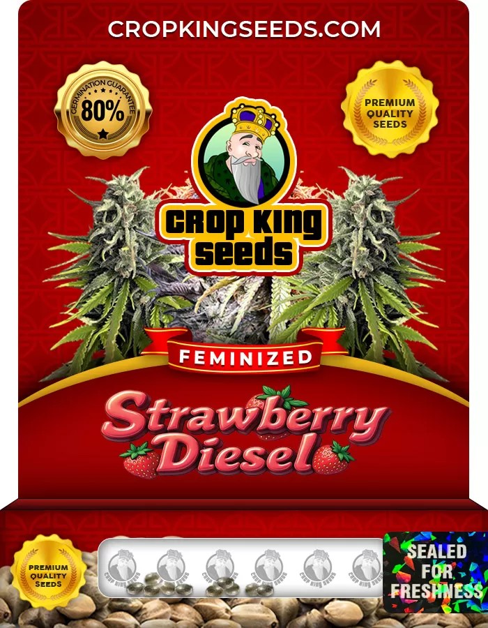 Strawberry Diesel Strain Feminized Marijuana Seeds