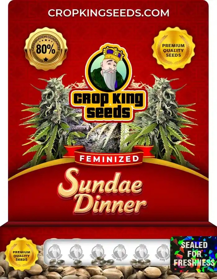 Sundae Dinner Strain Feminized Seeds