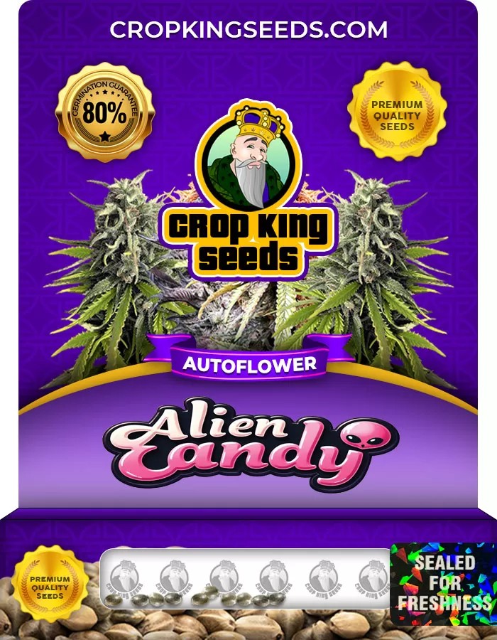 Alien Candy Autoflowering Marijuana Seeds