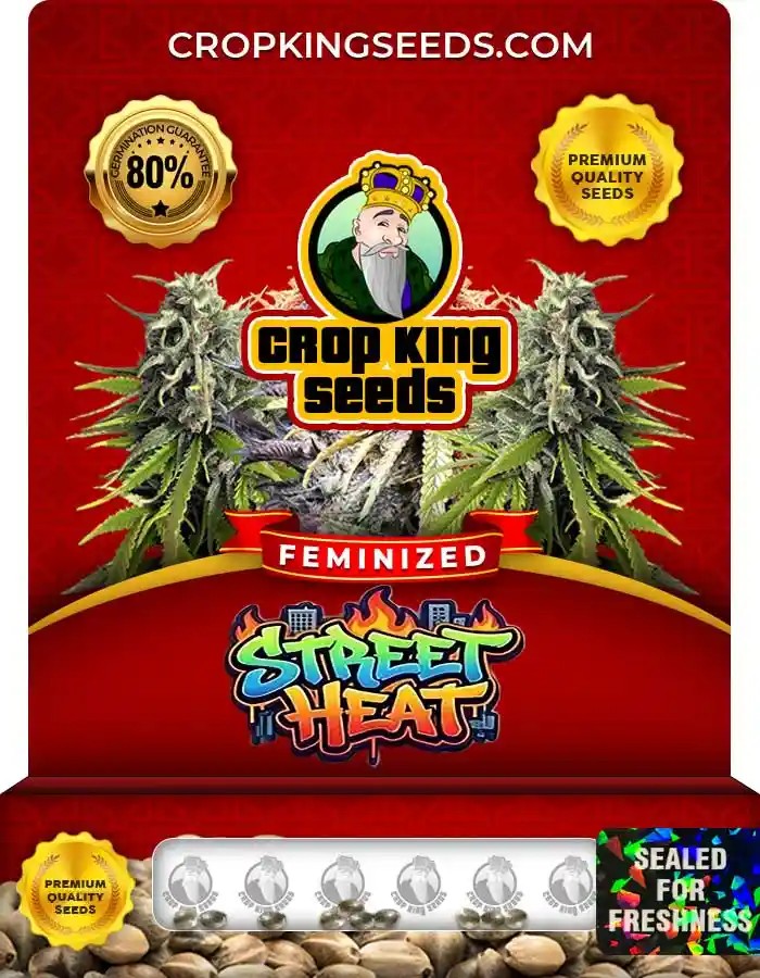 Street Heat Feminized Seeds