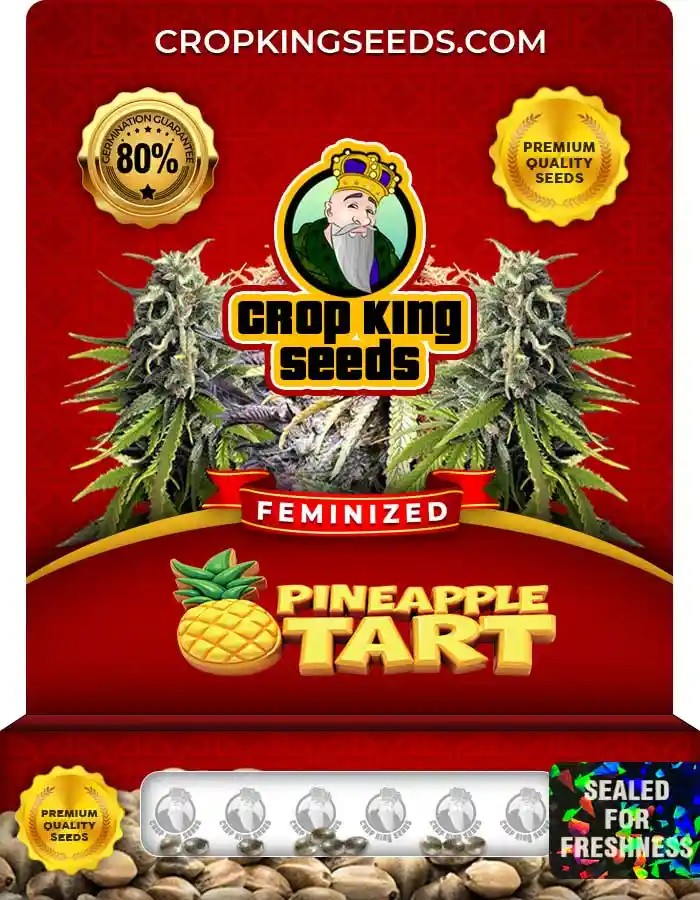 Pineapple Tart Feminized Seeds