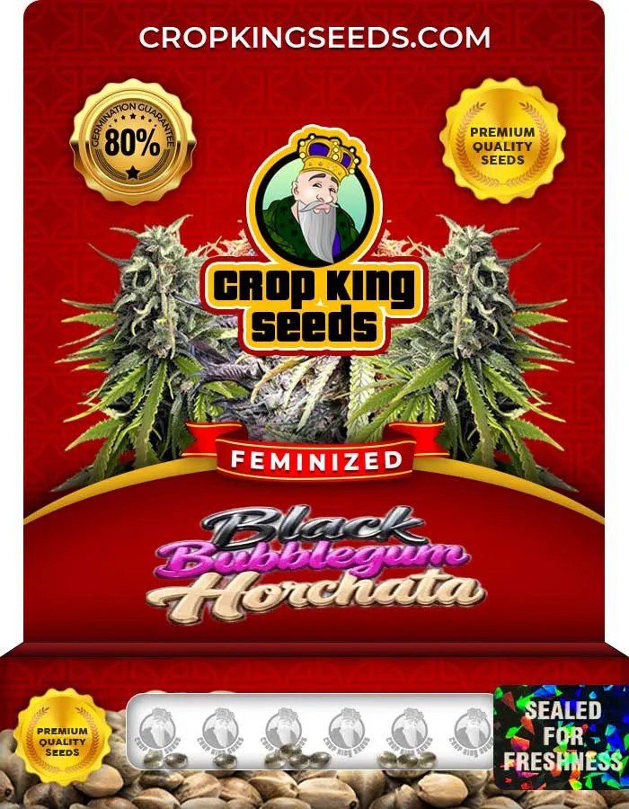 Black Bubblegum Horchata Strain Feminized Seeds