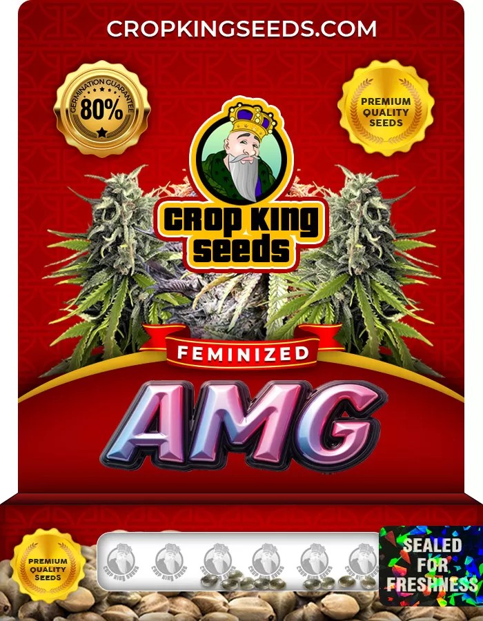 AMG Feminized Marijuana Seeds