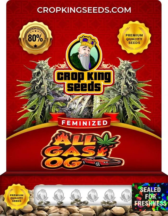 All Gas Og Strain Feminized Seeds