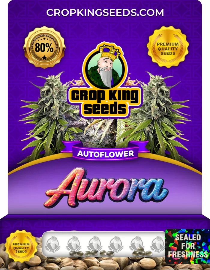 Aurora Autoflowering Marijuana Seeds