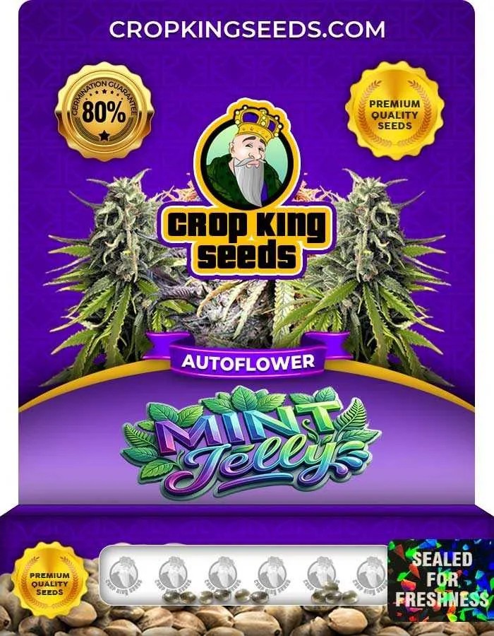 Mint Jelly Autoflower Seeds