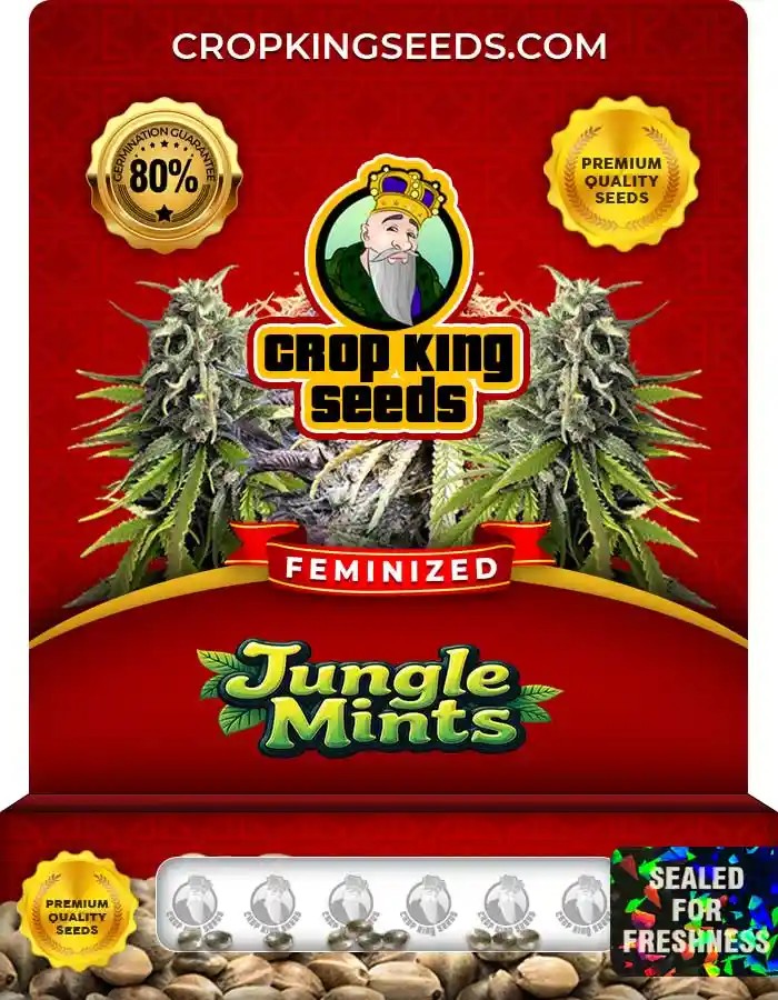Junior Mints Feminized Seeds
