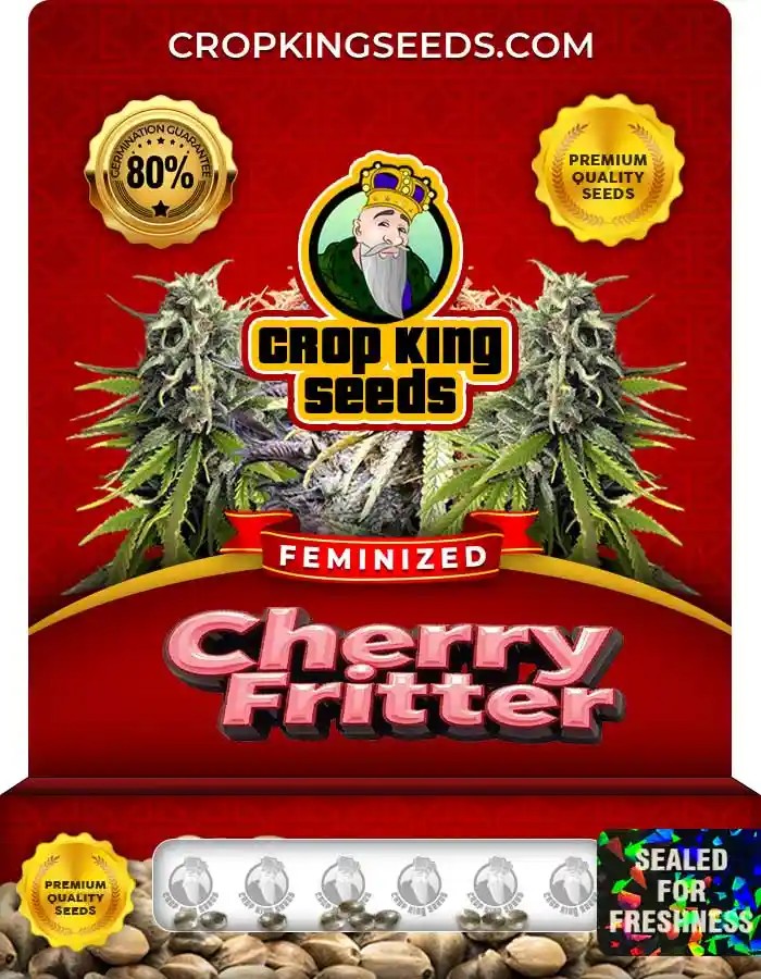 Cherry Fritter Strain Feminized Marijuana Seeds