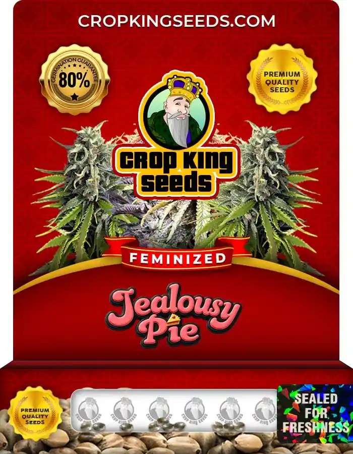 Jealousy Pie Feminized Cannabis Seeds