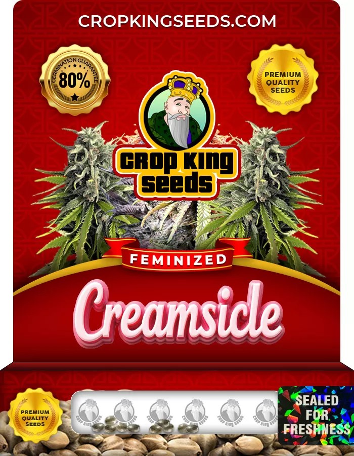 Creamsicle Feminized Marijuana Seeds