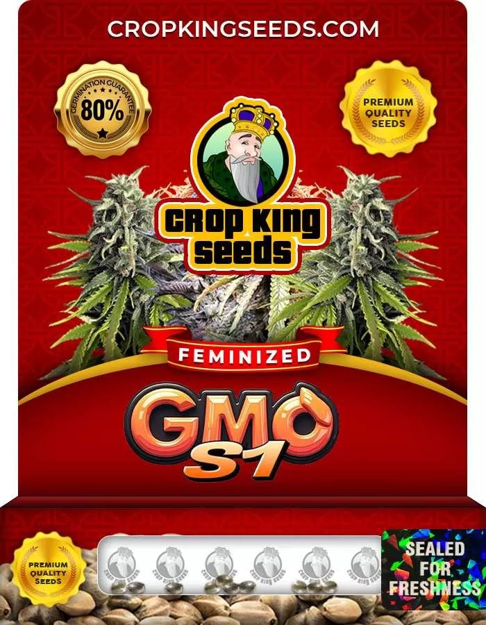 GMO S1 Feminized Seeds