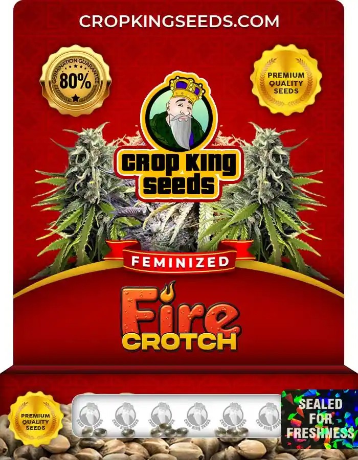 Fire Crotch Feminized Seeds