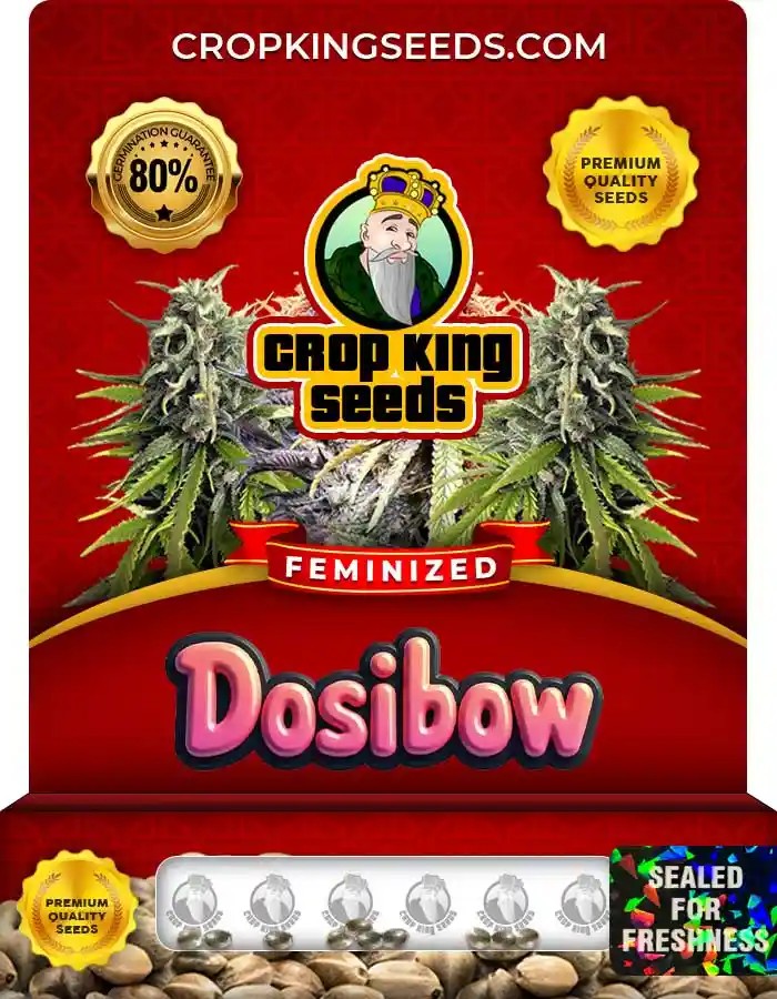 Dosibow Strain Feminized Marijuana Seeds