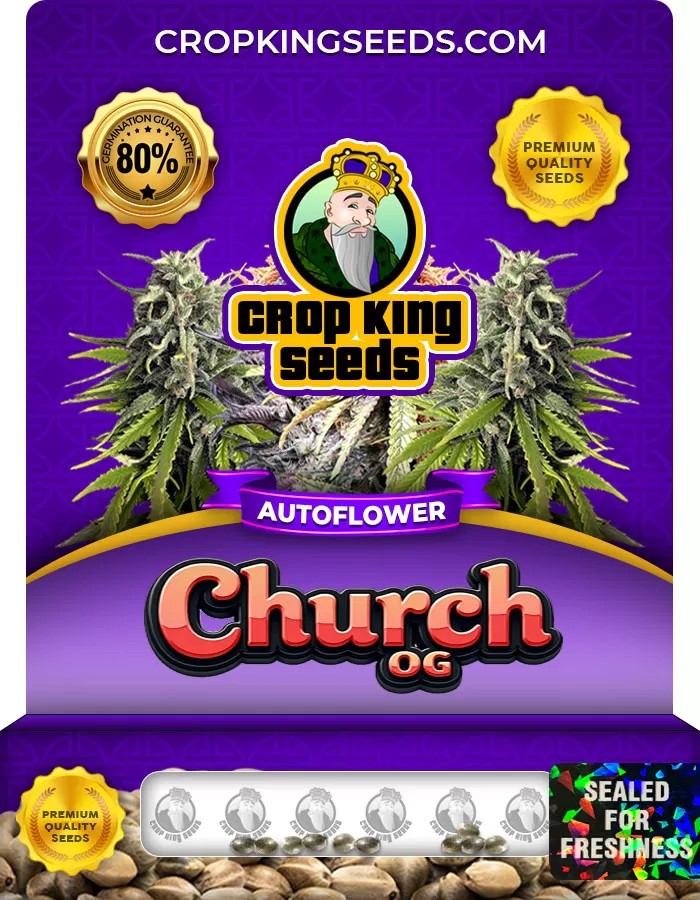 Church OG Autoflowering Marijuana Seeds