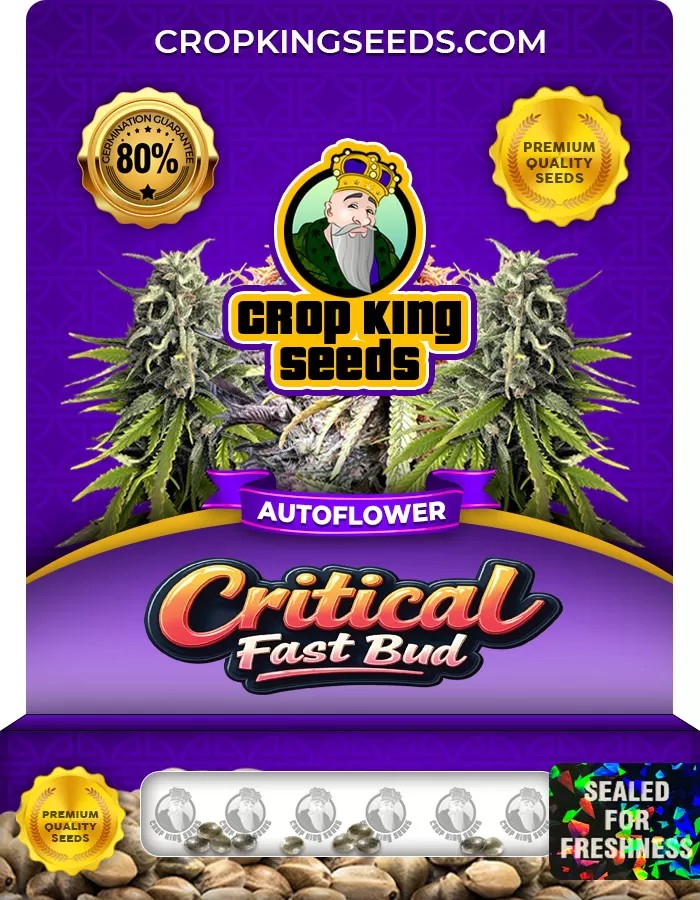 Critical Fast Bud Autoflower Marijuana Seeds