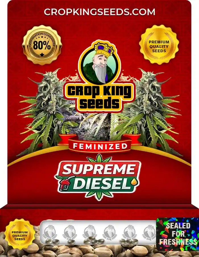 Supreme Diesel Strain Feminized Marijuana Seeds