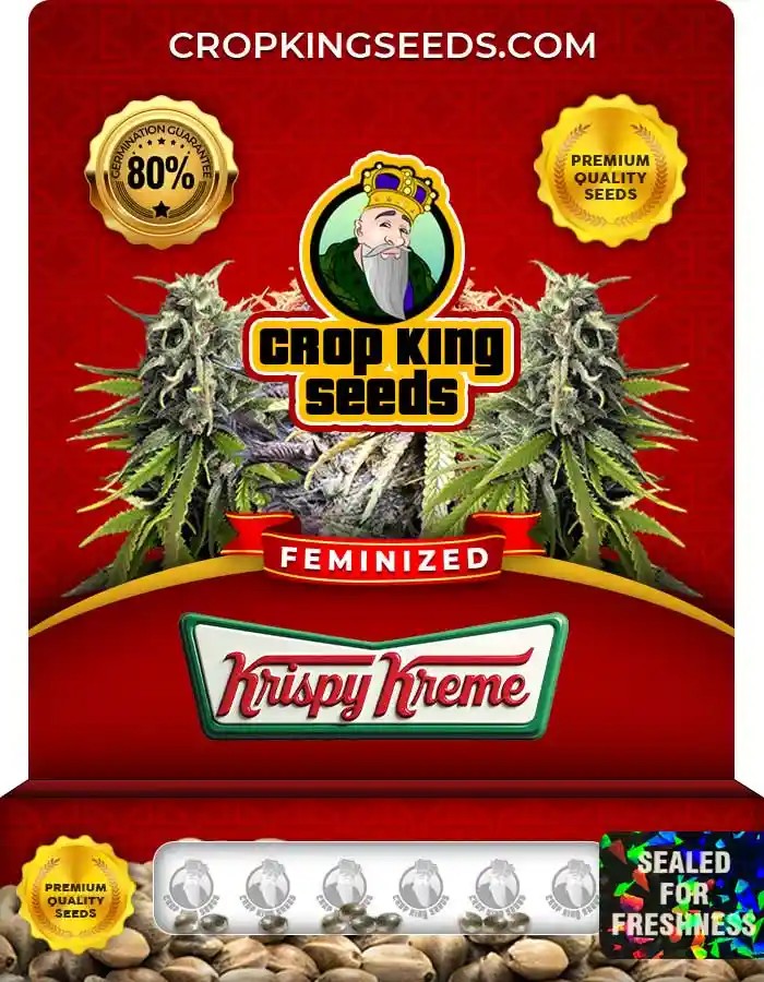 Krispy Kreme Feminized Seeds