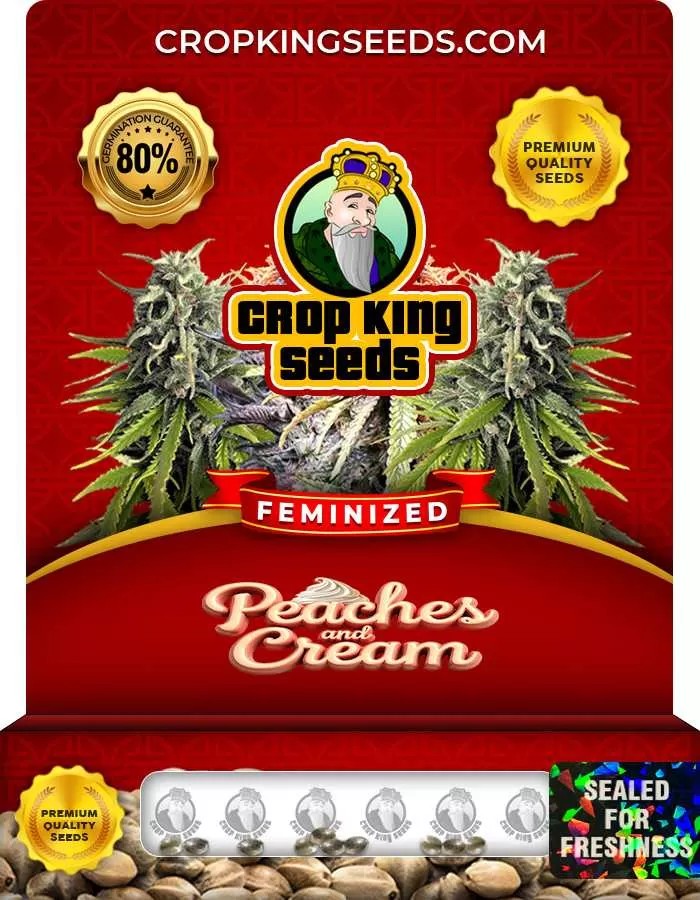 Peaches and Cream Strain Feminized Marijuana Seeds