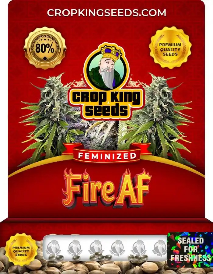 Fire AF Feminized Seeds