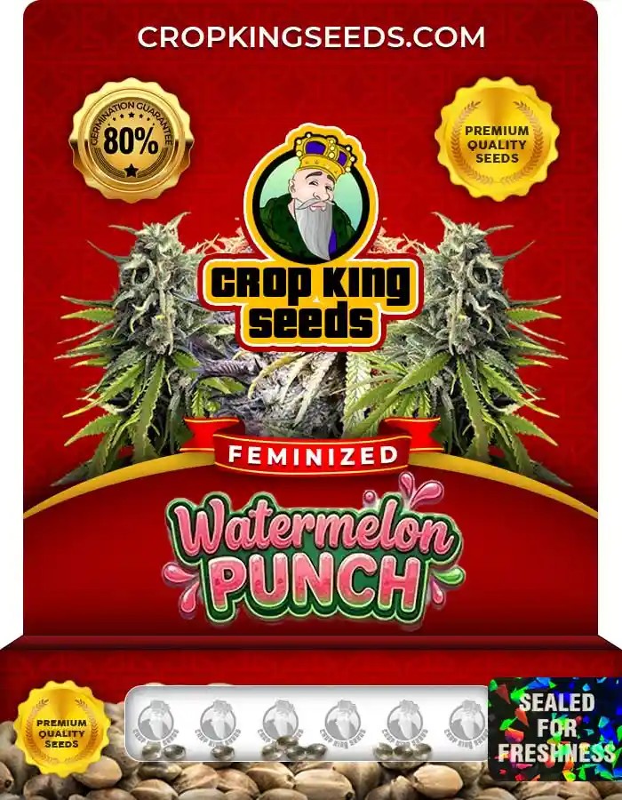 Watermelon Punch Strain Feminized Marijuana Seeds