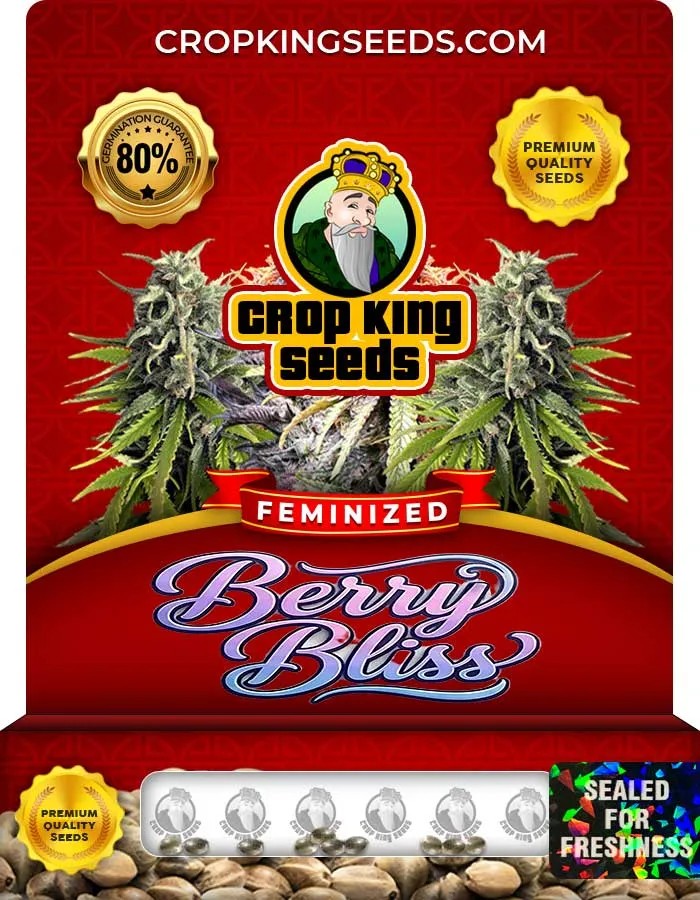 Berry Bliss Strain Feminized Seeds