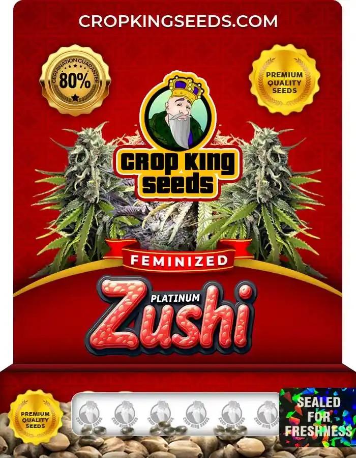 Platinum Zushi Strain Feminized Seeds