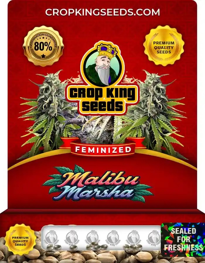 Malibu Marsha Strain Feminized Marijuana Seeds