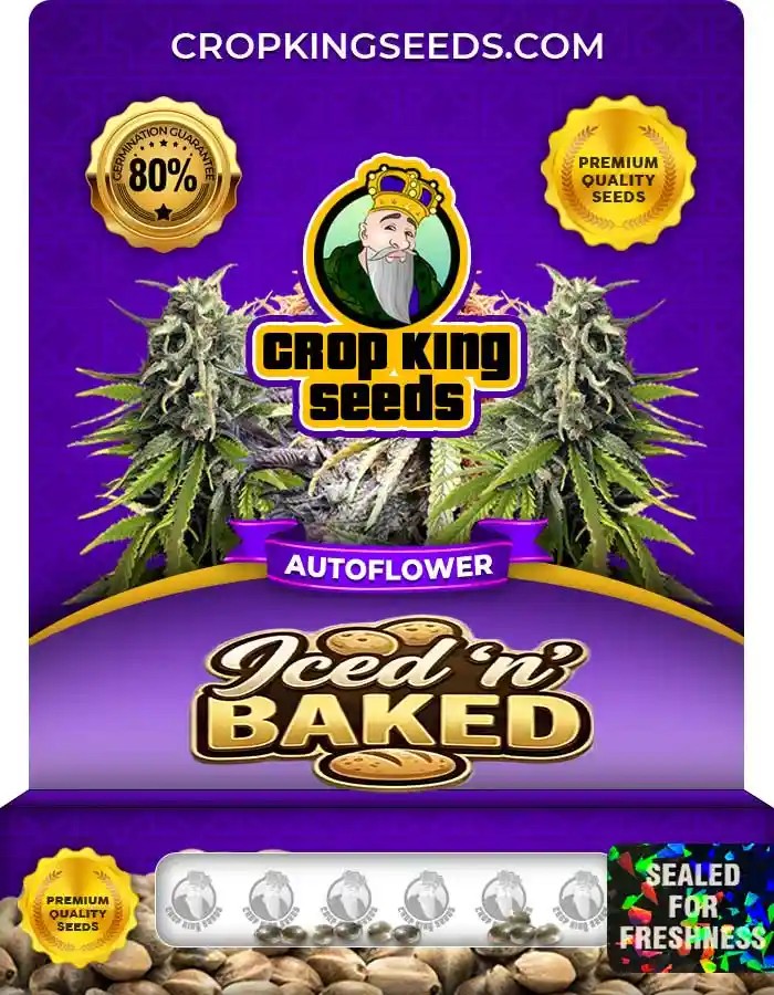 Iced ‘n’ Baked Autoflower Seeds