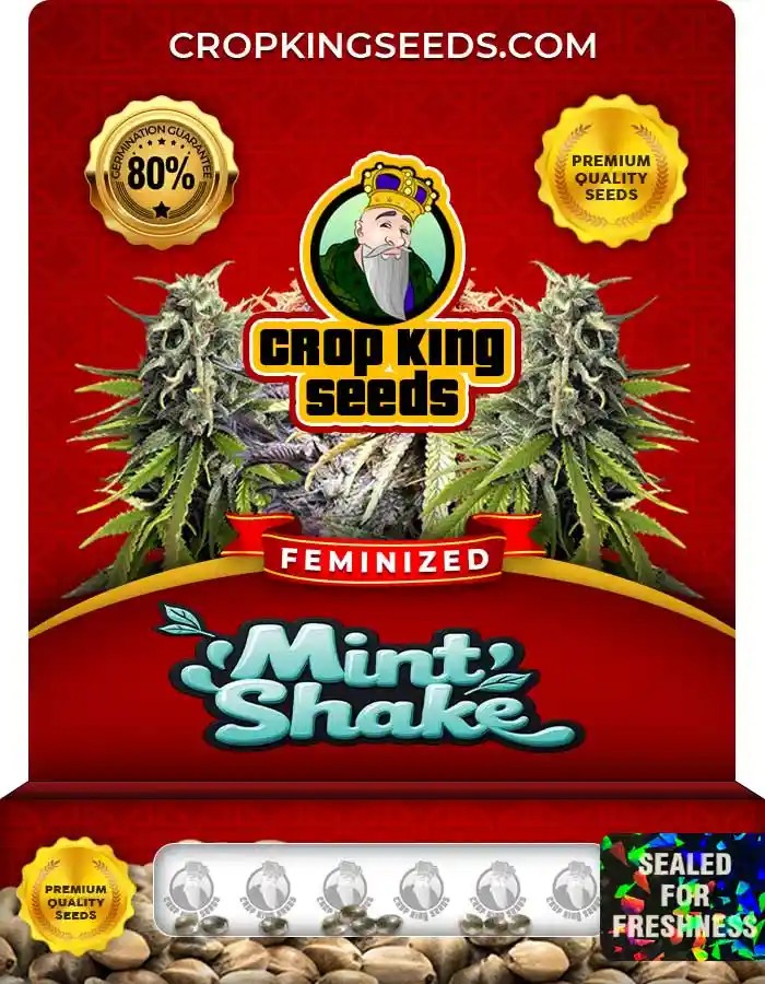 Mint Shake Feminized Seeds
